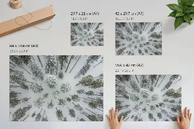 Spauda ant drobės žiemos miško ramybė minimalizmo stiliumi