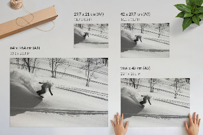 Plakatas Snieglentininkas veiksme, sniego medžių kontrastai
