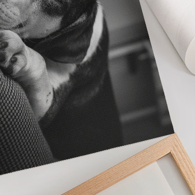 Plakatas ant drobės Žavingas šuo miega ant pagalvės
