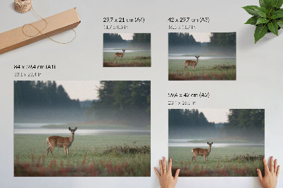 Plakatas Elniai miglotų pievų ir miško fone