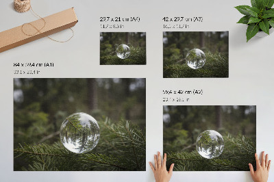 Spauda ant drobės Krištolinis rutulys pušies šakos fone