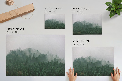 Plakatas ant drobės Miglota miško panorama, pilna žalių ir pilkų spalvų