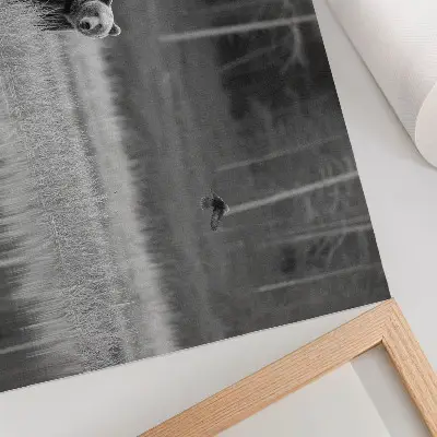Plakatas lokys prie vandens juodai baltoje atmosferoje
