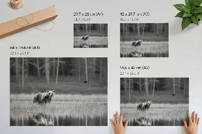 Plakatas lokys prie vandens juodai baltoje atmosferoje