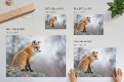 Plakatas ant drobės Lapė žiemos peizaže, švelni gamtos ramybė