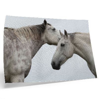 Plakatas Du arkliai pilkos ir baltos spalvų harmonijoje