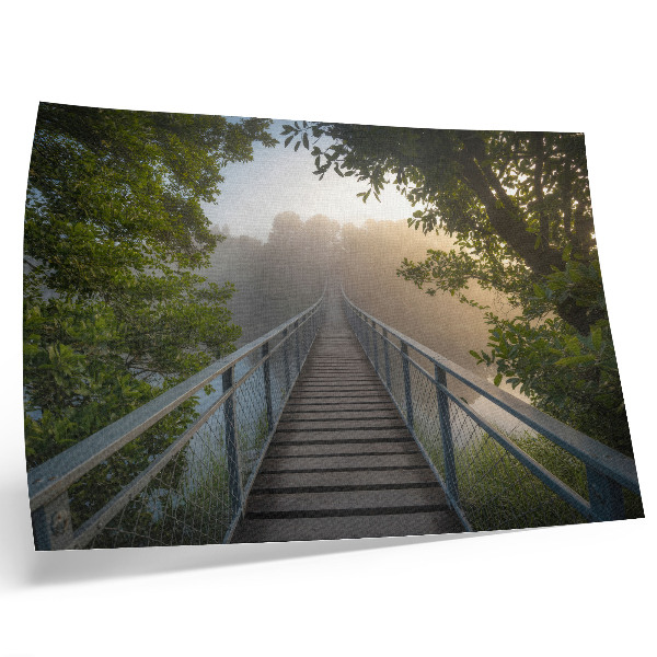 Plakatas Tiltas rūke per upę žalioje aplinkoje