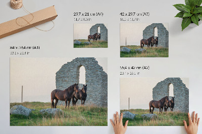 Plakatas ant drobės Griuvėsių ir arklių kontrastas žalumoje