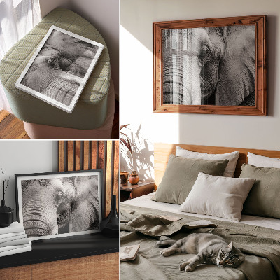 Plakatas Monochrominės dramblio detalės minimalizmas elegancija