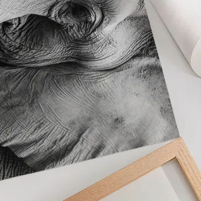 Plakatas monochrominės dramblio detalės minimalizmas ir elegancija