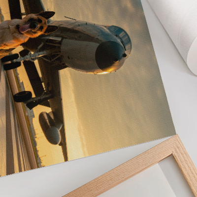 Plakatas ant drobės Šuo ir lėktuvas saulėlydyje – unikalus reginys