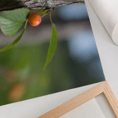 Plakatas oranžiniai vaisiai, žali lapai ir ruda žievė