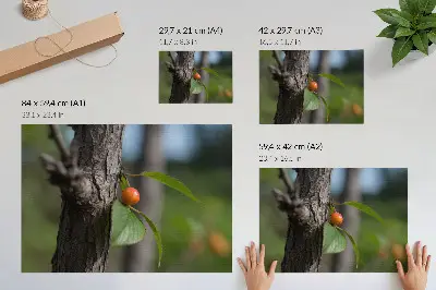Plakatas oranžiniai vaisiai, žali lapai ir ruda žievė