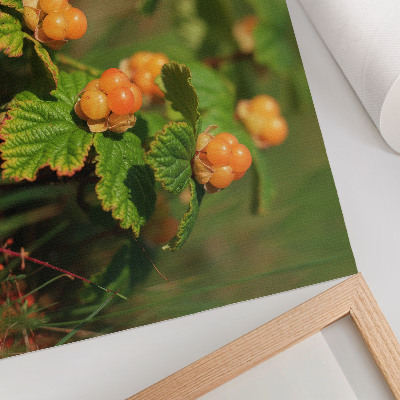Plakatas ant drobės Žali lapai oranžiniai vaisiai natūralus žavesys