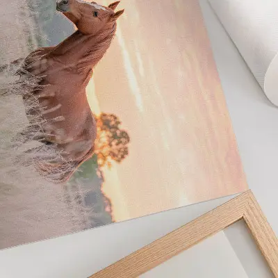 Plakatas arklys pievoje ryte pastelinėmis spalvomis atpalaiduojančiai nuotaikai sukurti