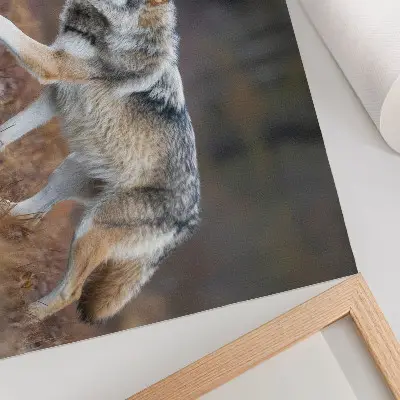 Plakatas ant drobės vilkas laukinės gamtos peizaže