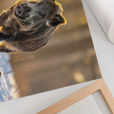 Plakatas ant drobės Šernas žiemos fone, apsuptas saulės šviesos