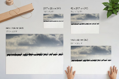 Plakatas Šiauriniai elniai sniege, tyloje ir erdvėje
