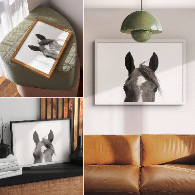 Plakatas Juodai balta arklio elegancijos fotografija