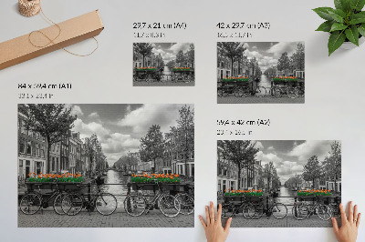 Plakatas ant drobės Žavingas kanalo vaizdas, dviračiai, tulpės, juoda ir oranžinė spalvos