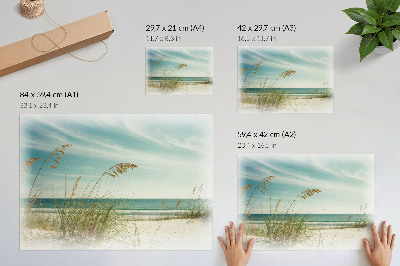 Plakatas Paplūdimio žolė vandenynas dangus ramybė