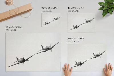 Plakatas ant drobės Juodai baltas istorinis orlaivis skrydžio dinamikoje