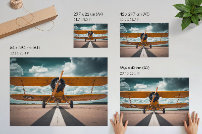Plakatas ant drobės Lėktuvas ant kilimo ir tūpimo tako dinaminio dangaus