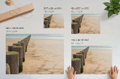Plakatas ant drobės Mediniai kuoliukai paplūdimys jūra ramybė gamta