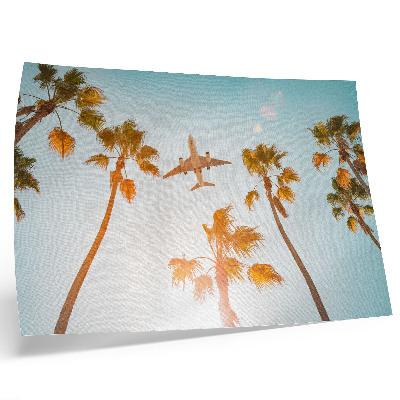 Plakatas Lėktuvo palmės, mėlynas dangus, tropinis klimatas