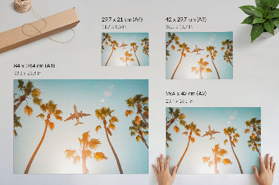 Plakatas Lėktuvo palmės, mėlynas dangus, tropinis klimatas