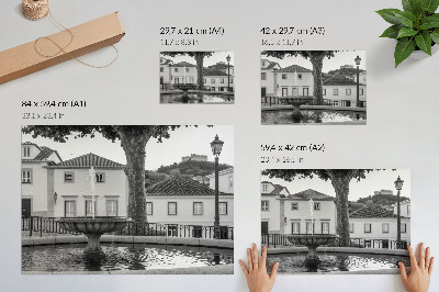 Spauda ant drobės Juodai baltas fontanas klasikinių pastatų pilis