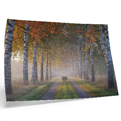 Plakatas Simetriški beržai, rūko šviesa, rudens alėja