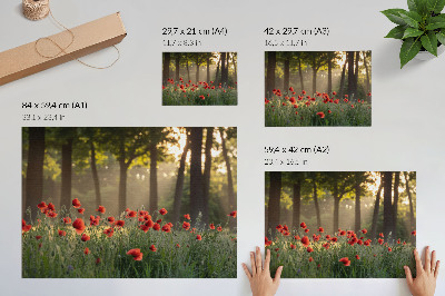 Spauda ant drobės Raudonos aguonos žalias miškas saulės spinduliai