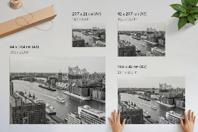 Spauda ant drobės Šiuolaikinė miesto upės ikoninė architektūra