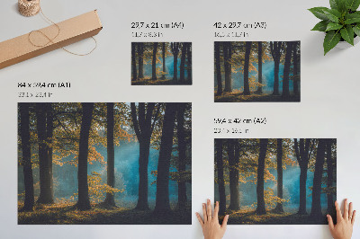 Plakatas Tylus miškas, ryto saulė, spalvingi lapai