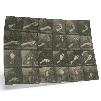 Plakatas ant drobės Eadweardo Muybridge’o „Gyvūnų judėjimas“, 535 lentelė (1887 m.)