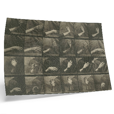 Plakatas ant drobės Gyvūnų judėjimas, 535 lentelė (1887 m.), autorius Eadweard Muybridge