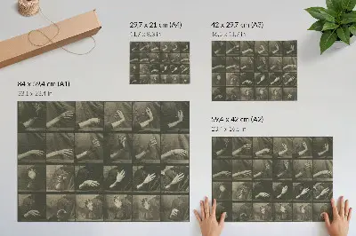 Plakatas ant drobės Eadweardo Muybridge’o „Gyvūnų judėjimas“, 535 lentelė (1887 m.)