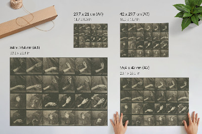 Plakatas ant drobės Gyvūnų judėjimas, 535 lentelė (1887 m.), autorius Eadweard Muybridge