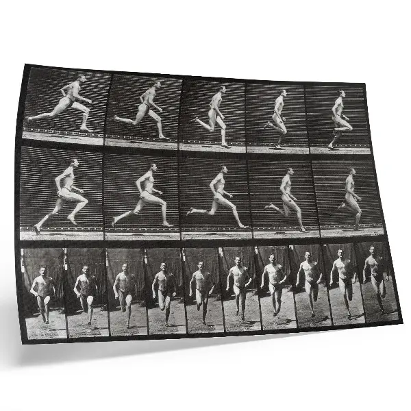 Spauda ant drobės 60-oji Eadweardo Muybridge'o nuotrauka iš serijos „Gyvūnų judėjimas“ (1887 m.)