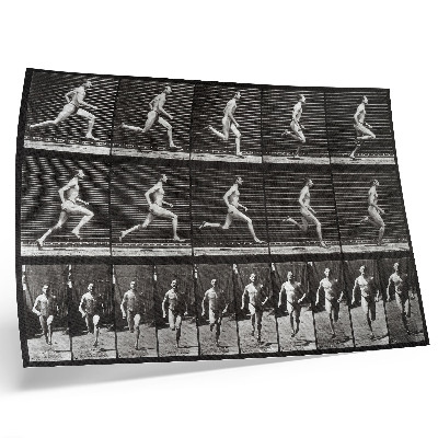Spauda ant drobės 60-oji Eadweardo Muybridge'o nuotrauka, kurioje pavaizduotas „Gyvūnų judėjimas“ (1887 m.)