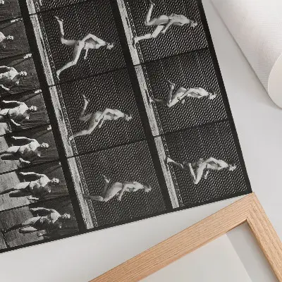 Spauda ant drobės 60-oji Eadweardo Muybridge'o nuotrauka iš serijos „Gyvūnų judėjimas“ (1887 m.)