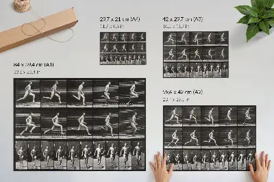 Spauda ant drobės 60-oji Eadweardo Muybridge'o nuotrauka iš serijos „Gyvūnų judėjimas“ (1887 m.)