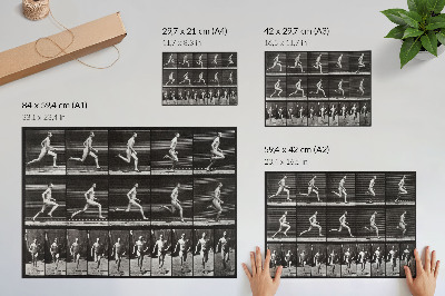 Spauda ant drobės 60-oji Eadweardo Muybridge'o nuotrauka, kurioje pavaizduotas „Gyvūnų judėjimas“ (1887 m.)