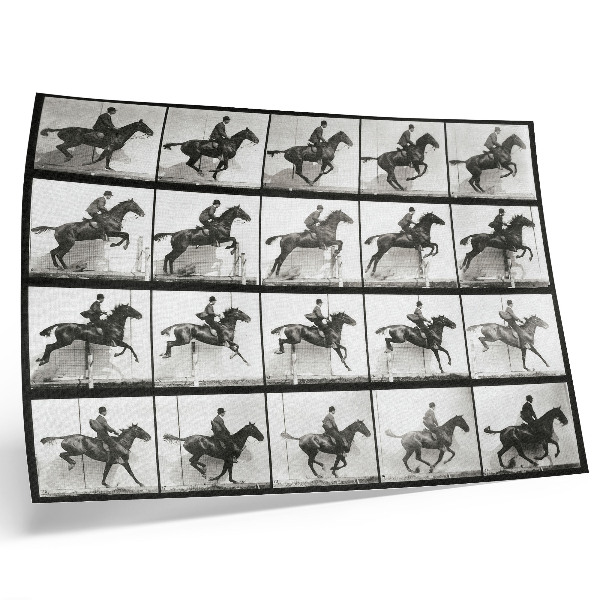 Plakatas ant drobės 640 paveikslėlis, kuriame pavaizduotas „Gyvūnų judėjimas“ (1887 m.), jodinėjimas žirgais, nufotografuotas Eadweardo Muybridge'o