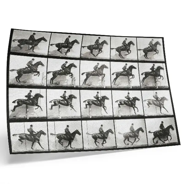 Plakatas ant drobės Eadweardo Muybridge'o „Gyvūnų judėjimas“ 1887 m. jodinėjimo žirgais fotografija