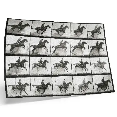 Plakatas ant drobės Eadweardo Muybridge'o „Gyvūnų judėjimas“ 1887 m. jodinėjimo žirgais fotografija
