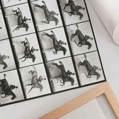 Plakatas ant drobės 640 paveikslėlis, kuriame pavaizduotas „Gyvūnų judėjimas“ (1887 m.), jodinėjimas žirgais, nufotografuotas Eadweardo Muybridge'o