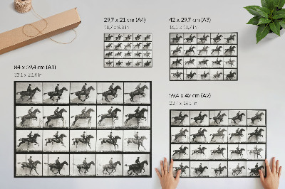 Plakatas ant drobės 640 paveikslėlis, kuriame pavaizduotas „Gyvūnų judėjimas“ (1887 m.), jodinėjimas žirgais, nufotografuotas Eadweardo Muybridge'o