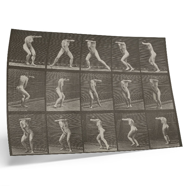 Plakatas 73 lentelė. Nustebęs apsisukimas ir bėgimas (1887 m.), Eadweard Muybridge